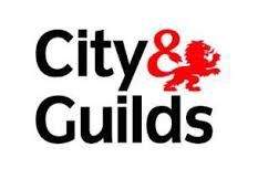 City and Guilds qualified contractor